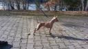 image01
